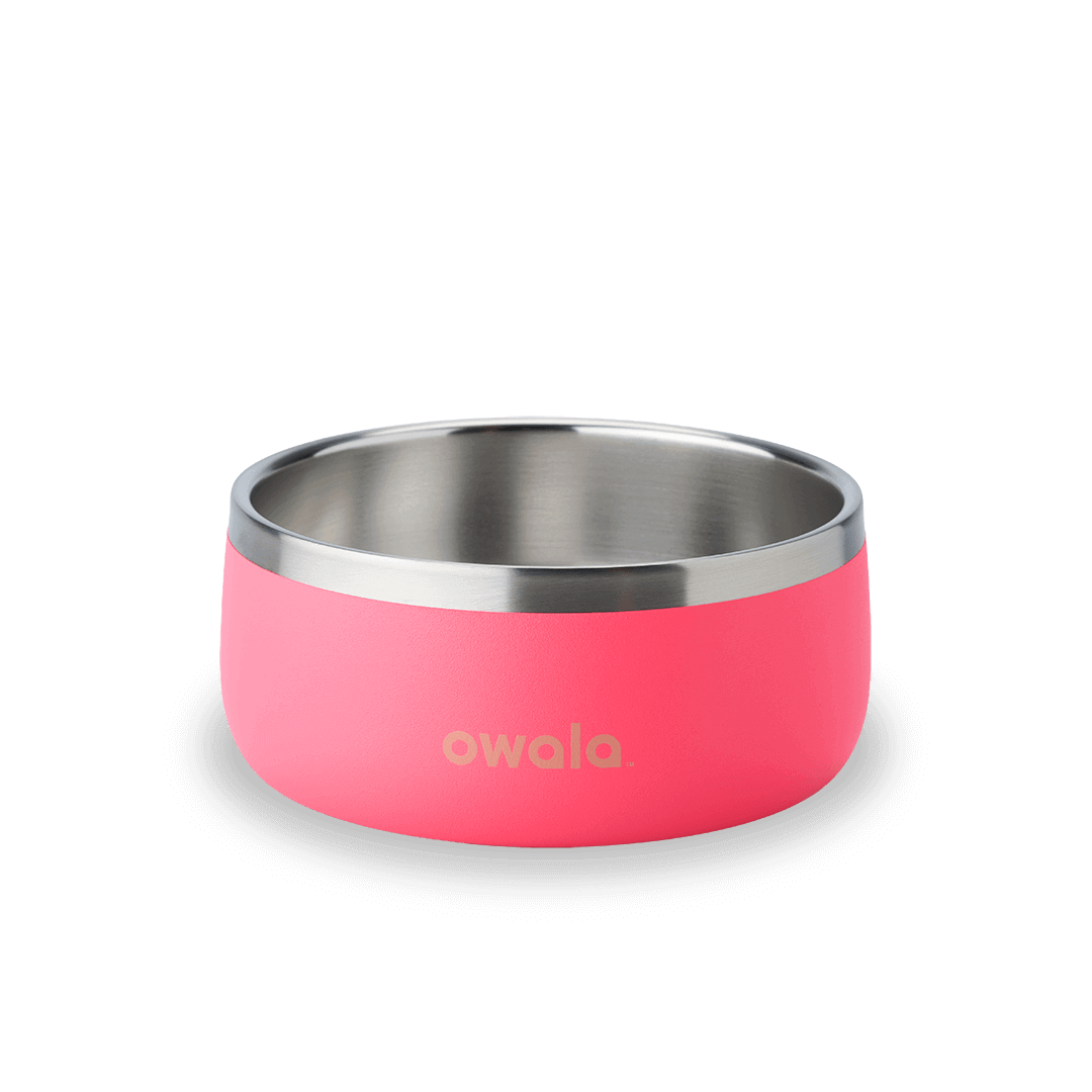 Pet Bowl (S1DKR)