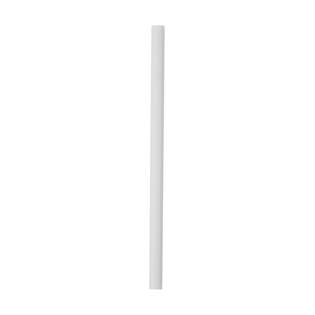 Replacement Straws (S1SKQ)